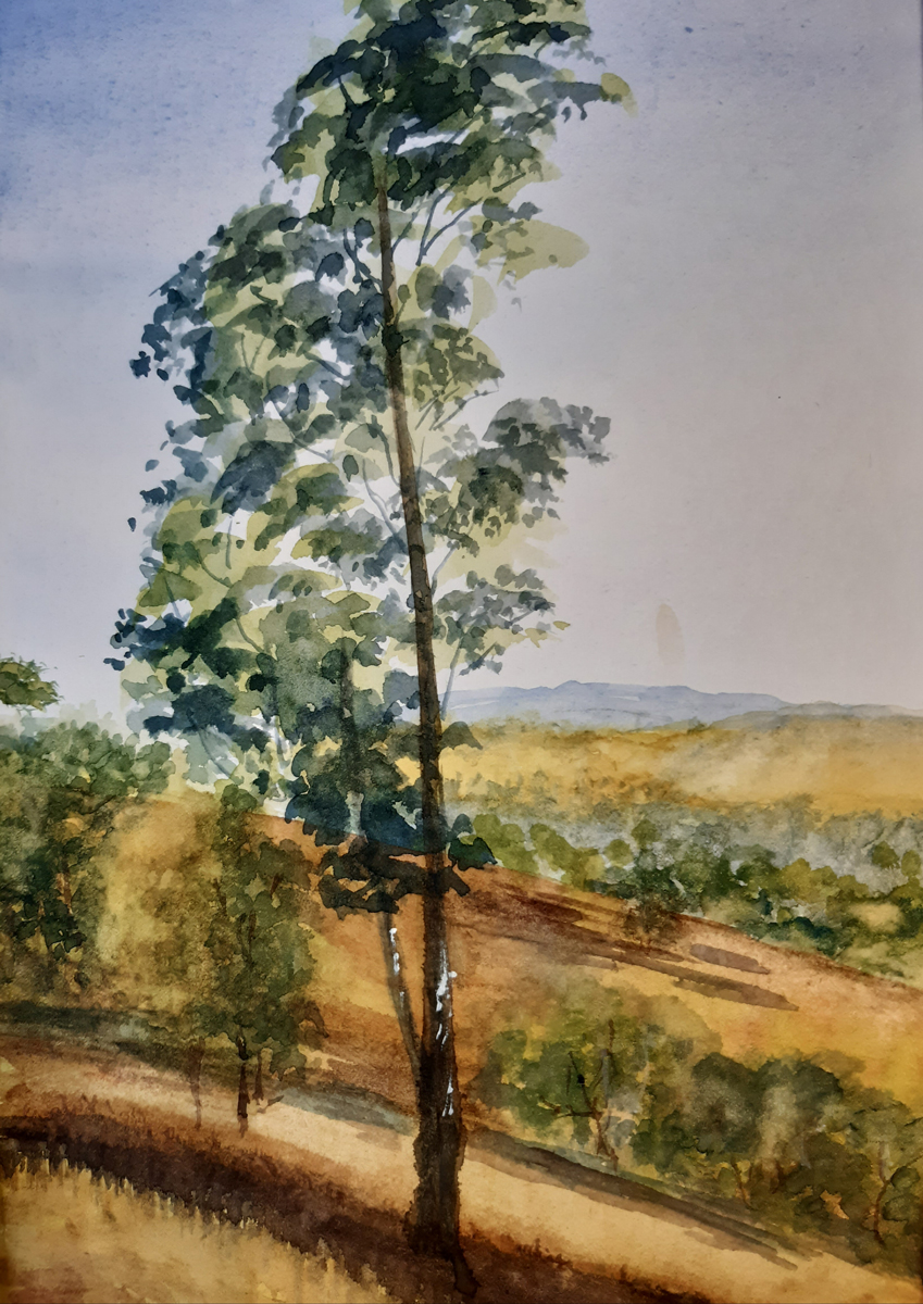 EricaWindmiller 2020 09 05 7 12 46